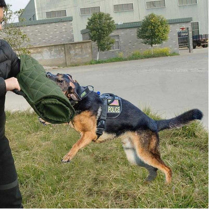 Dog Training Bite Sleeves | LOOPDEAL Training Supplies